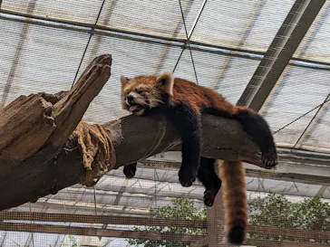 神戸どうぶつ王国に投稿された画像（2023/7/27）