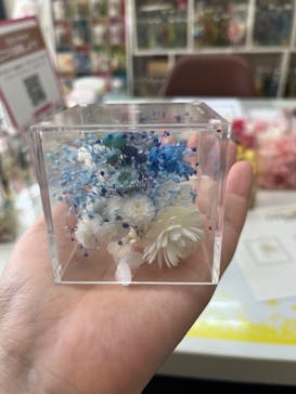 ずこうしつ〜sugamo〜に投稿された画像（2023/7/27）