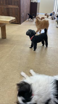 東武動物公園に投稿された画像（2023/7/27）