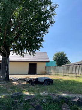 東武動物公園に投稿された画像（2023/7/27）