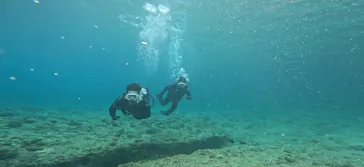 武藤潜水に投稿された画像（2023/7/27）