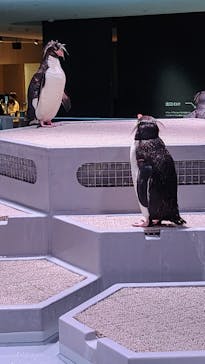 AOAO SAPPOROに投稿された画像（2023/7/27）