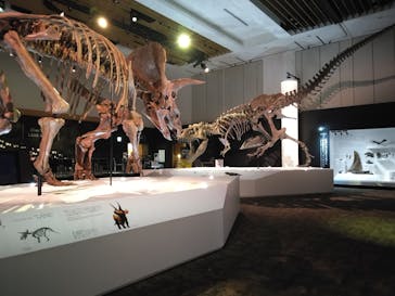 DinoScience 恐竜科学博 2023@TOKYO MIDTOWNに投稿された画像（2023/7/27）