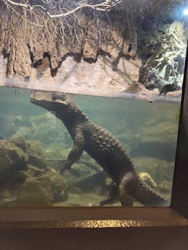 体感型動物園iZooに投稿された画像（2023/7/27）