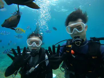 武藤潜水に投稿された画像（2023/7/27）