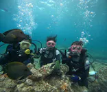 武藤潜水に投稿された画像（2023/7/27）