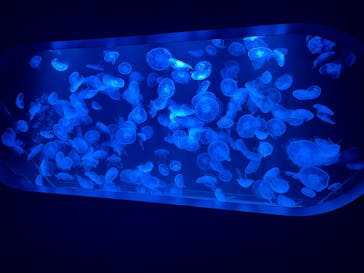 AOAO SAPPOROに投稿された画像（2023/7/27）