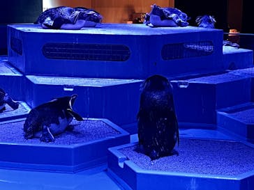 AOAO SAPPOROに投稿された画像（2023/7/27）