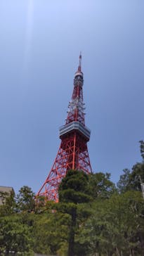 東京タワーに投稿された画像（2023/7/27）