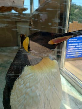 下田海中水族館に投稿された画像（2023/7/27）