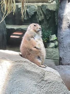 神戸どうぶつ王国に投稿された画像（2023/7/27）