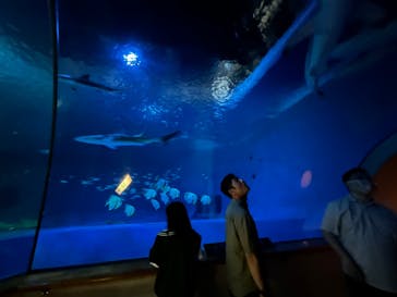 島根県立 しまね海洋館に投稿された画像（2023/7/27）