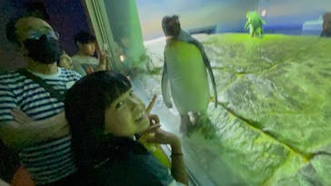 島根県立 しまね海洋館に投稿された画像（2023/7/27）