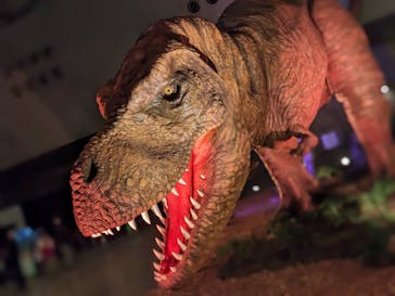 朱鷺メッセに投稿された画像（2023/7/27）