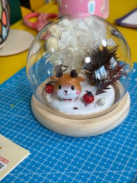 Discovery Worldに投稿された画像（2023/7/27）