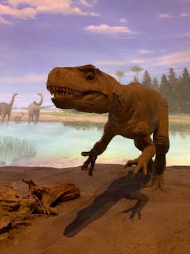 福井県立恐竜博物館に投稿された画像（2023/7/27）