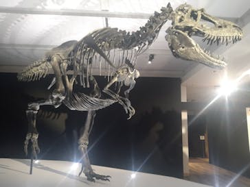 DinoScience 恐竜科学博 2023@TOKYO MIDTOWNに投稿された画像（2023/7/27）