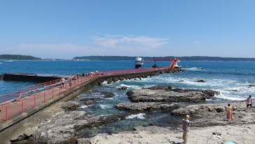 串本海中公園水族館に投稿された画像（2023/7/27）