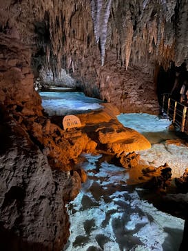 おきなわワールドに投稿された画像（2023/7/27）