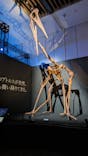 DinoScience 恐竜科学博 2023@TOKYO MIDTOWNに投稿された画像（2023/7/27）