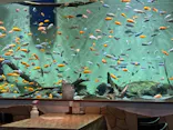 名古屋港水族館に投稿された画像（2023/7/27）