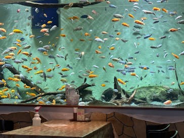 名古屋港水族館に投稿された画像（2023/7/27）