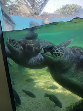 横浜・八景島シーパラダイスに投稿された画像（2023/7/27）