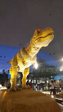 福井県立恐竜博物館に投稿された画像（2023/7/27）