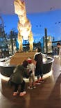 福井県立恐竜博物館に投稿された画像（2023/7/27）