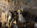 石垣島鍾乳洞に投稿された画像（2023/7/27）