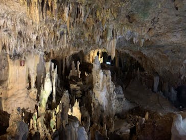 石垣島鍾乳洞に投稿された画像（2023/7/27）