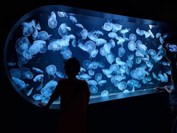 AOAO SAPPOROに投稿された画像（2023/7/27）