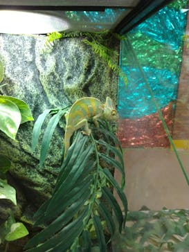 いきもの探検隊上尾に投稿された画像（2023/7/27）