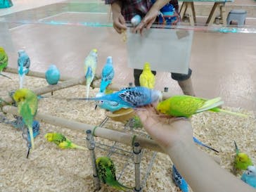 いきもの探検隊上尾に投稿された画像（2023/7/27）