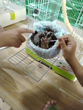 いきもの探検隊上尾に投稿された画像（2023/7/27）