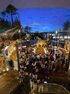 福井県立恐竜博物館に投稿された画像（2023/7/27）