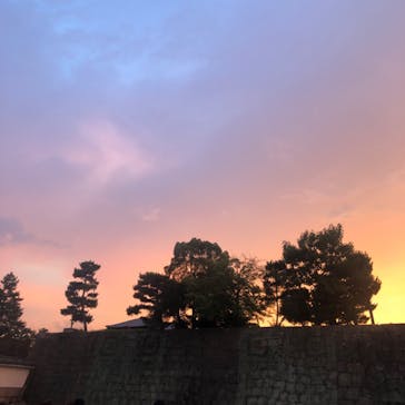 NAKED meets 二条城 2025 観月に投稿された画像（2023/7/27）