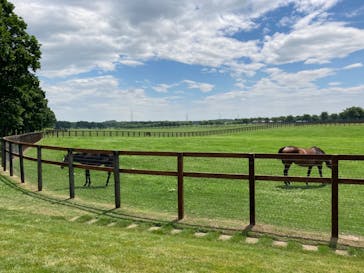 ノーザンホースパークに投稿された画像（2023/7/27）