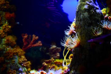 サンシャイン水族館に投稿された画像（2023/7/27）