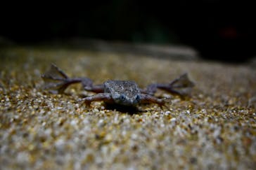 サンシャイン水族館に投稿された画像（2023/7/27）