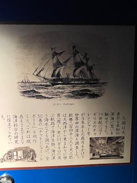 名古屋港水族館に投稿された画像（2023/7/27）