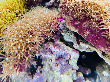 AOAO SAPPOROに投稿された画像（2023/7/27）