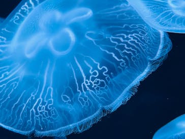 AOAO SAPPOROに投稿された画像（2023/7/27）