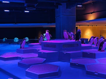 AOAO SAPPOROに投稿された画像（2023/7/27）