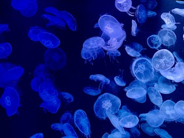 AOAO SAPPOROに投稿された画像（2023/7/27）