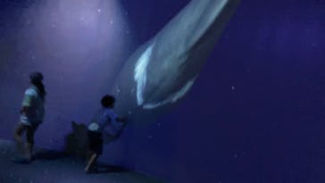 AOAO SAPPOROに投稿された画像（2023/7/27）