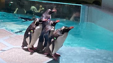 AOAO SAPPOROに投稿された画像（2023/7/27）