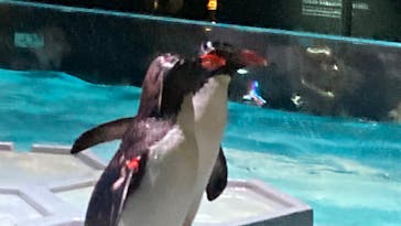 AOAO SAPPOROに投稿された画像（2023/7/27）