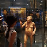 国立科学博物館に投稿された画像（2023/7/28）