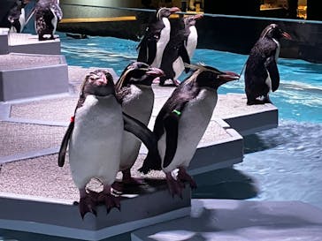 AOAO SAPPOROに投稿された画像（2023/7/27）